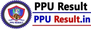 PPU Result